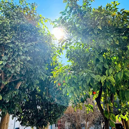 Apartmán Matina Chania (Crete)