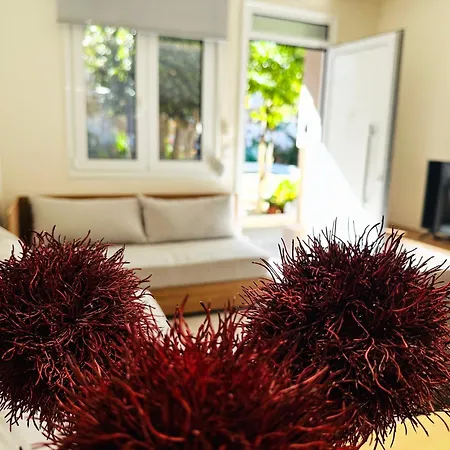 Appartement Matina *