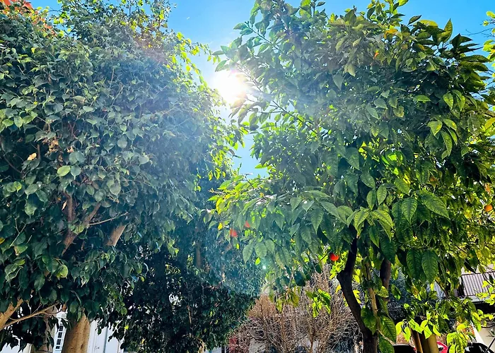 Apartment Matina Chania (Crete)